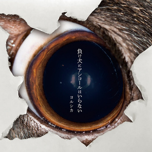 zjzjzjzjzjzjz中国免费
