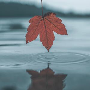 zjzjzjzjzjzjz中国免费
